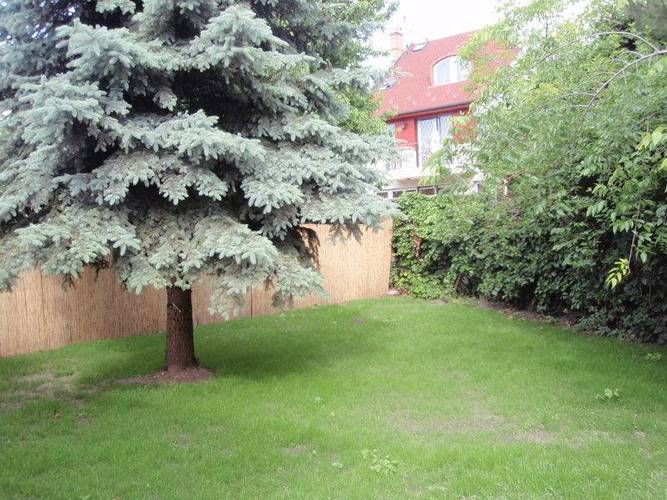 A small house with a garden in 14th district of Budapest