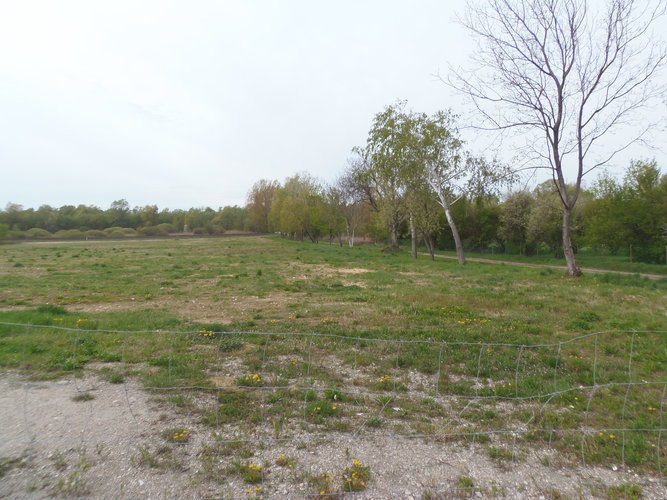 The plots of field on the coast of Balaton